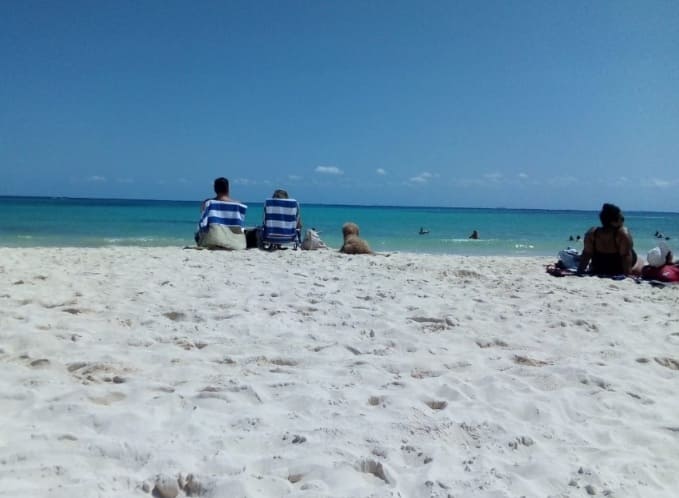Regulaciones más claras y espacios adicionales para mascotas en proceso para Playa del Carmen
