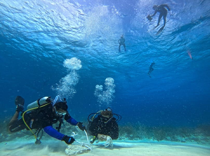 Conanp entrena una nueva brigada en la reparación de arrecifes de coral de Costa Maya