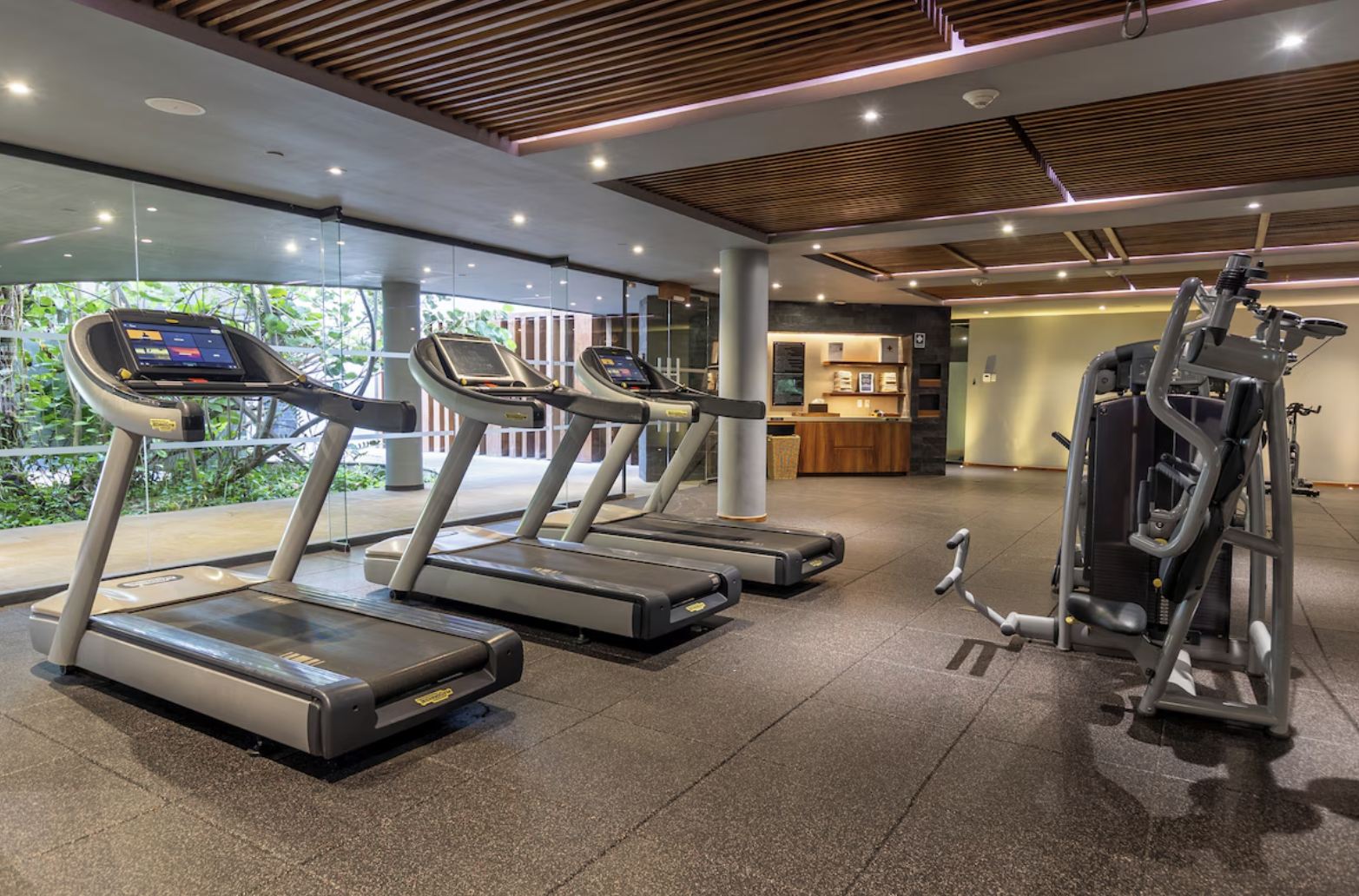 Gimnasio