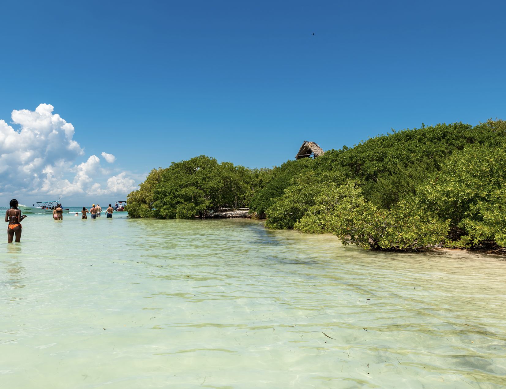 Nadador en Isla Pasión