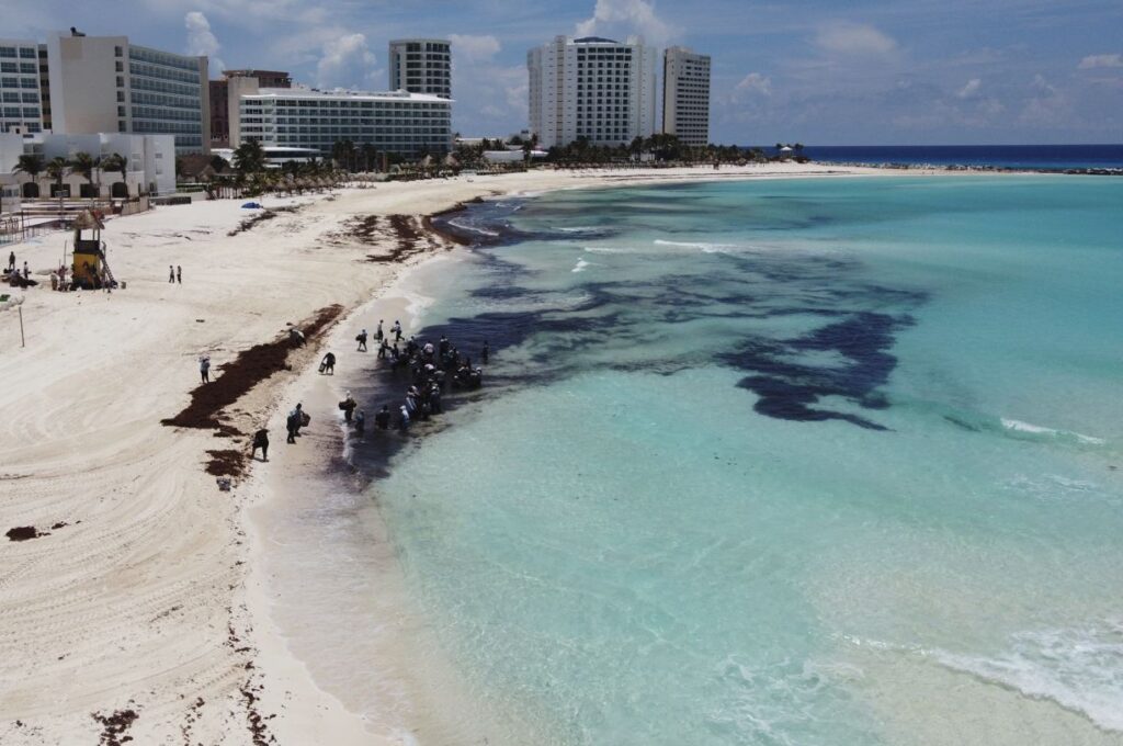Comienza la temporada de sargazo en Cancún Las 5 cosas que todo viajero debe saber en 2026