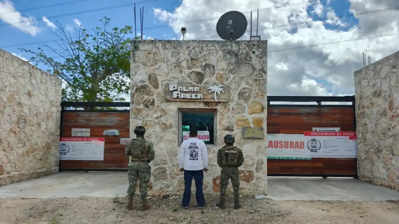 Cierran inmobiliaria que vende lotes comerciales en Puerto Morelos sin permisos