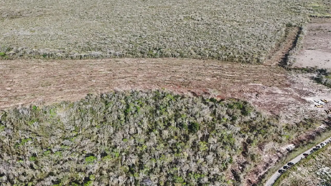 Inspectores federales cerraron proyecto e incautaron maquinaria después de que 18 hectáreas fueran destruidas ilegalmente