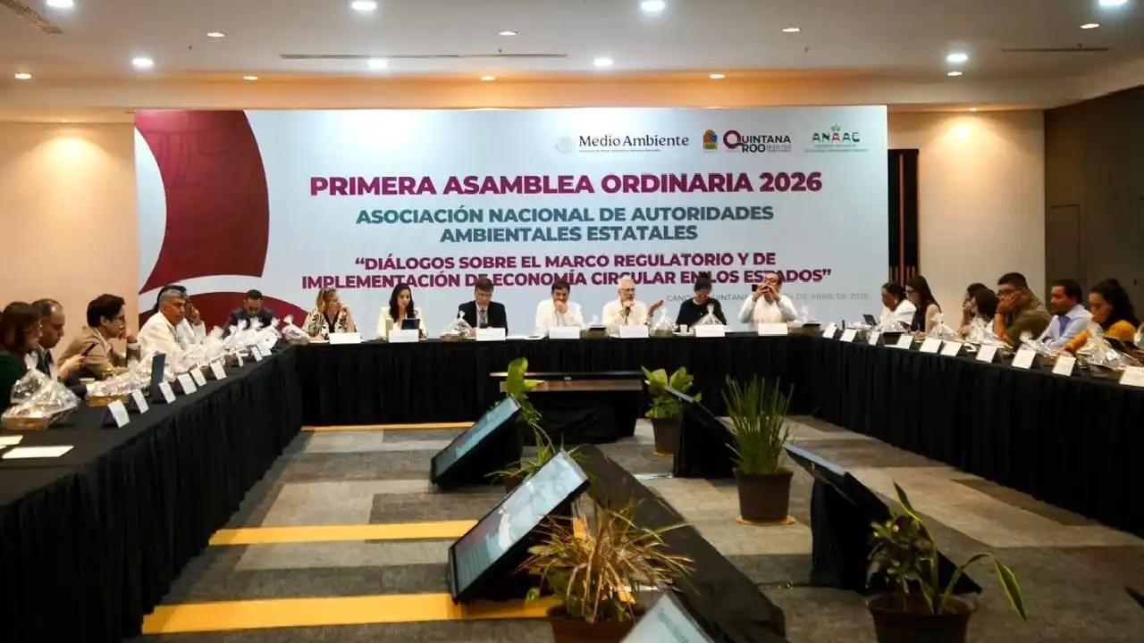 Gobiernos potencian estrategia de sargazo de Quintana Roo para evitar que llegue a tierra y reciclar lo recolectado