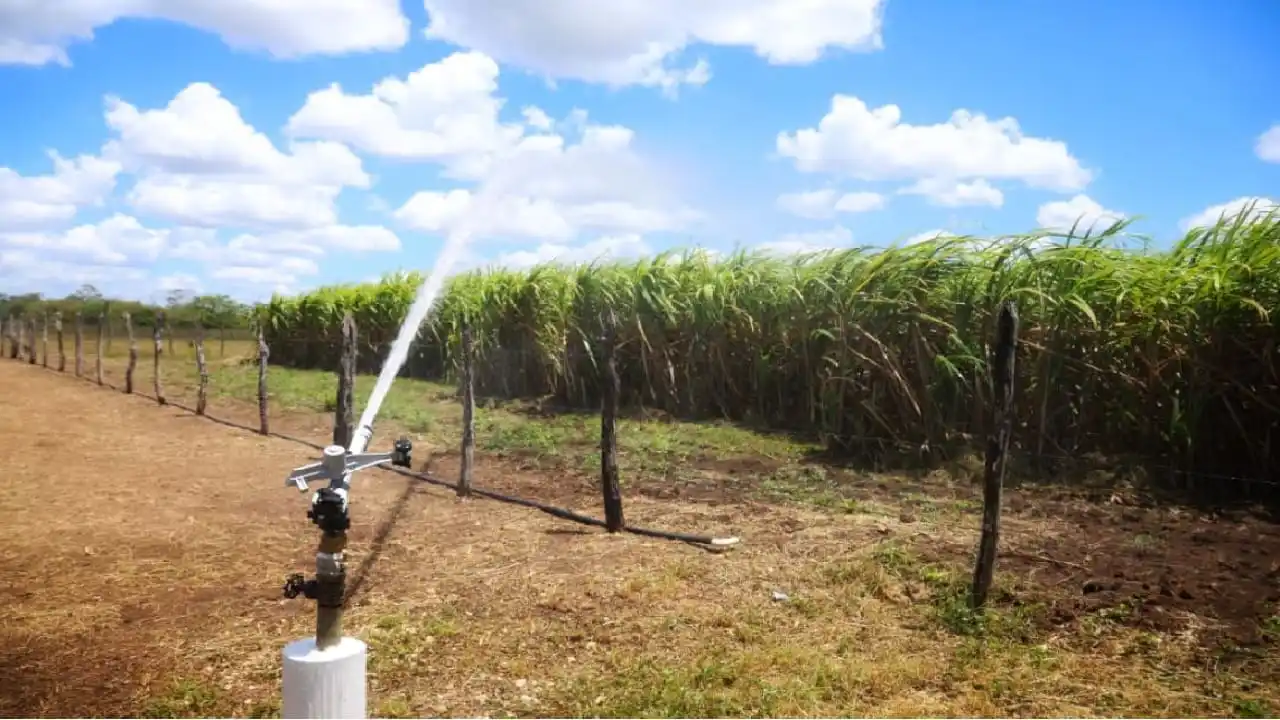 Quintana Roo moderniza agricultura con sistema de riego con energía solar