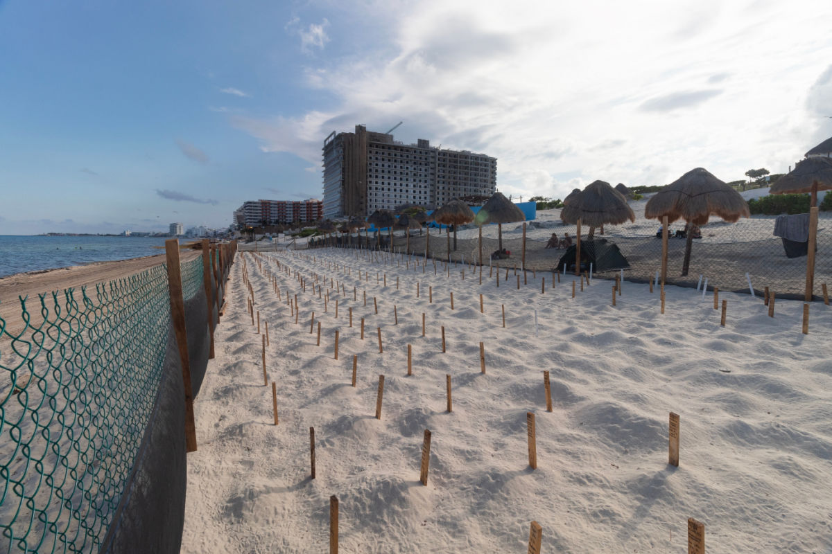 Hermosa escena de muchos nidos de tortugas rodeados por una valla en la playa de los delfines en la ciudad de Cancún en México