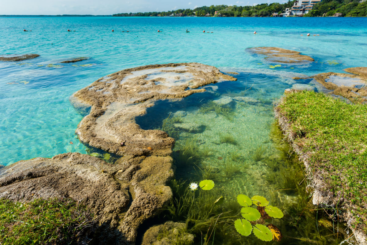 Hermoso paisaje con estromatolitos, foto tomada en Laguna Bacalar en México durante un viaje en kayak.