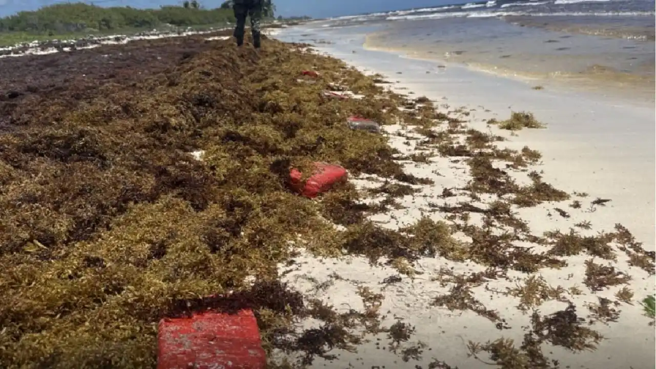 Patrulla militar reporta hallazgo bloques de marihuana arrastrados por la corriente en costa de Mahahual