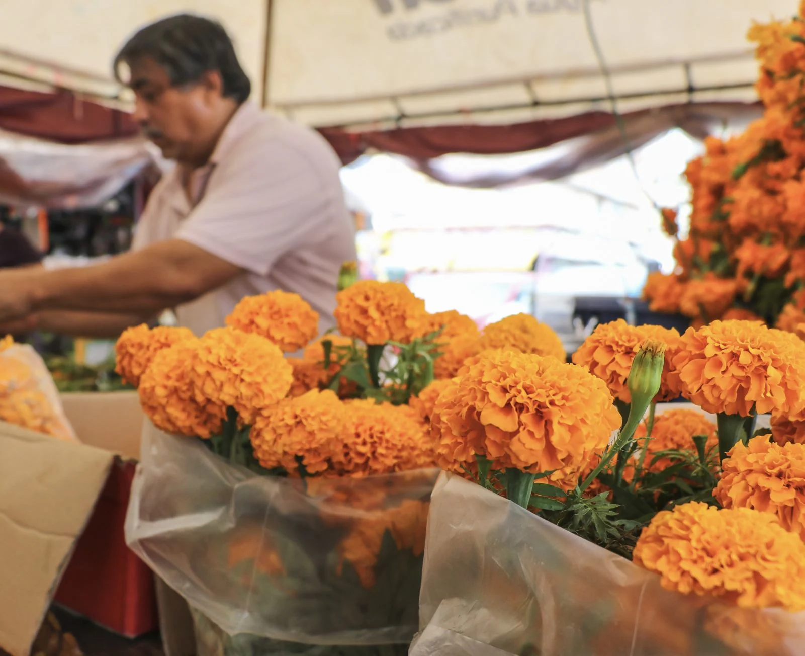 Vendedor de flores Marcado-23