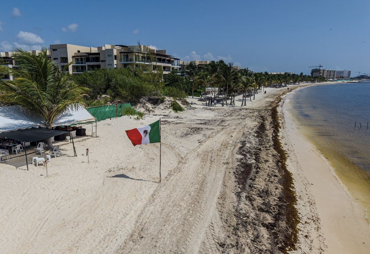Cancún y la Riviera Maya luchan contra el sargazo