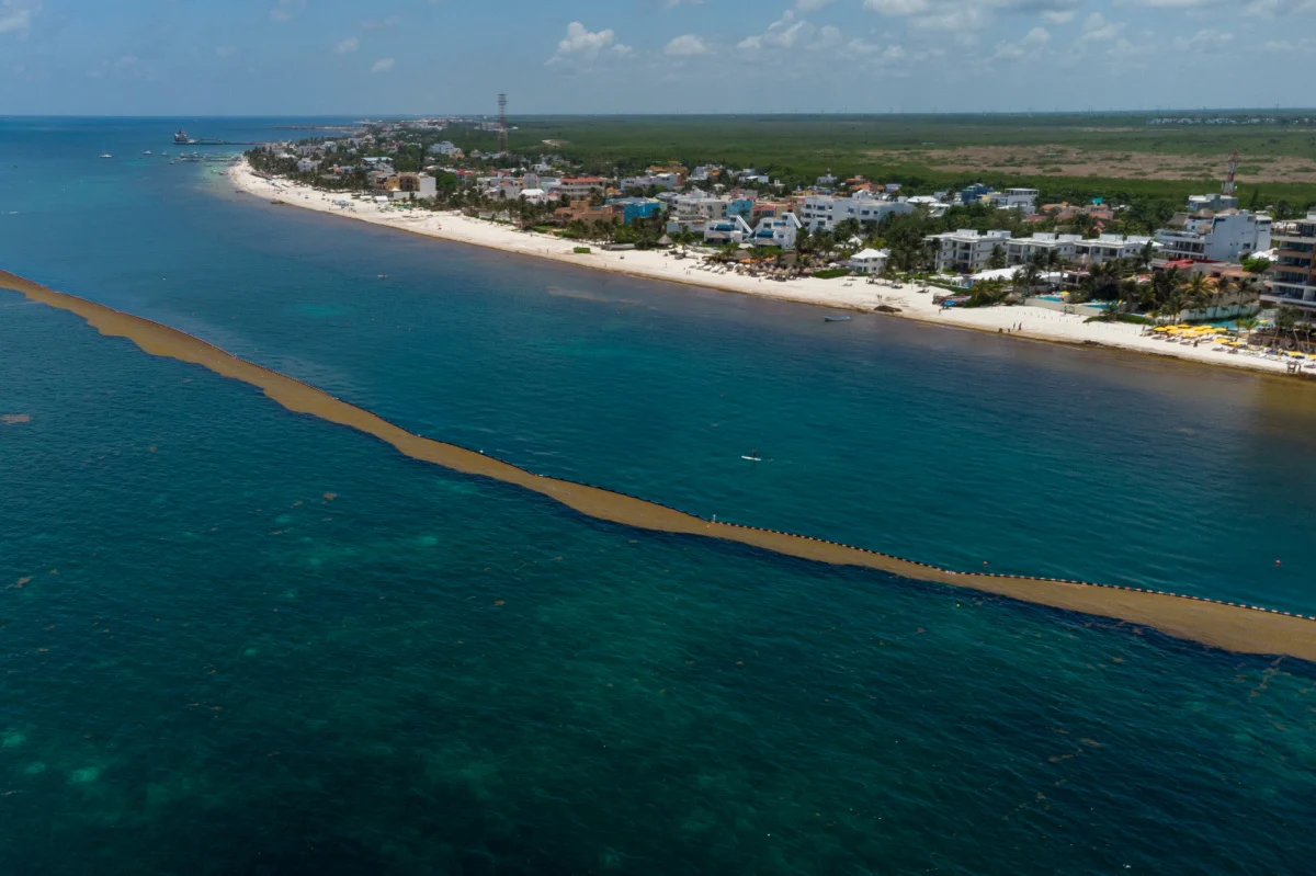 Pequeña barrera de sargazo en Cancún, México