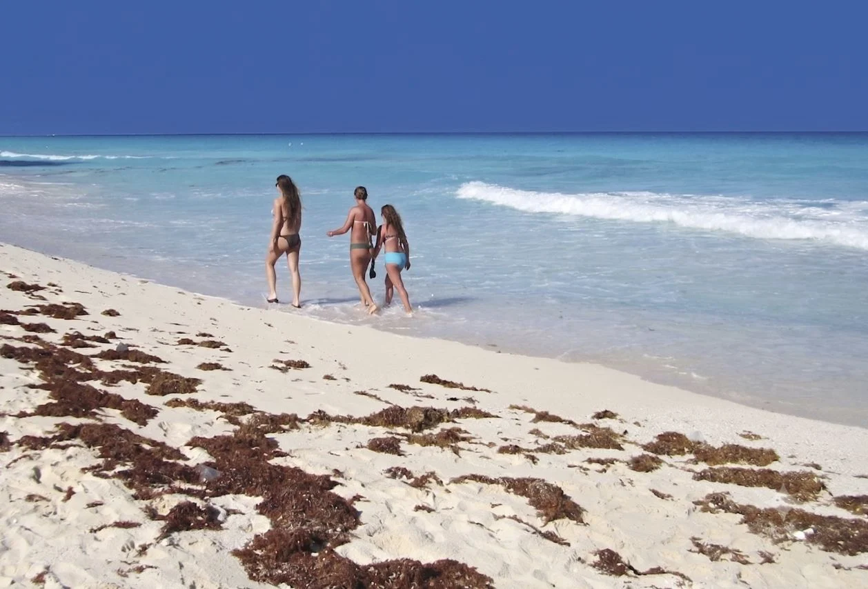Cancún implementa la primera barrera de sargazo para mantener la playa prístina
