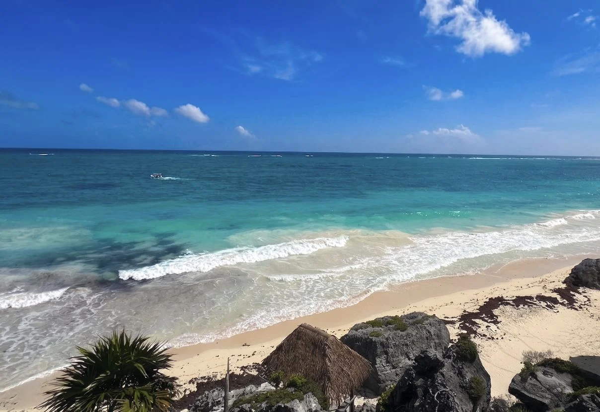 El ingreso al Jaguar Park de Tulum ahora será gratuito, anuncia presidente de México