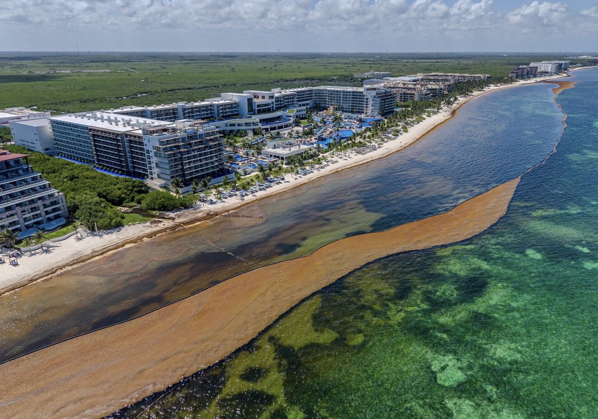 Cancún lanzará aplicación de monitoreo de sargazo en tiempo real para turistas