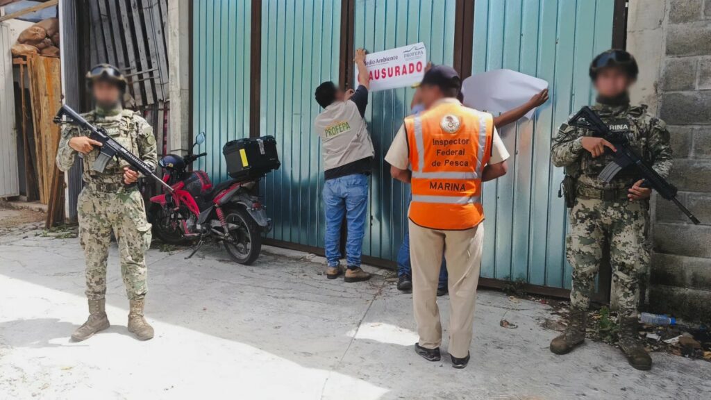 Profepa clausura maderería en Chetumal