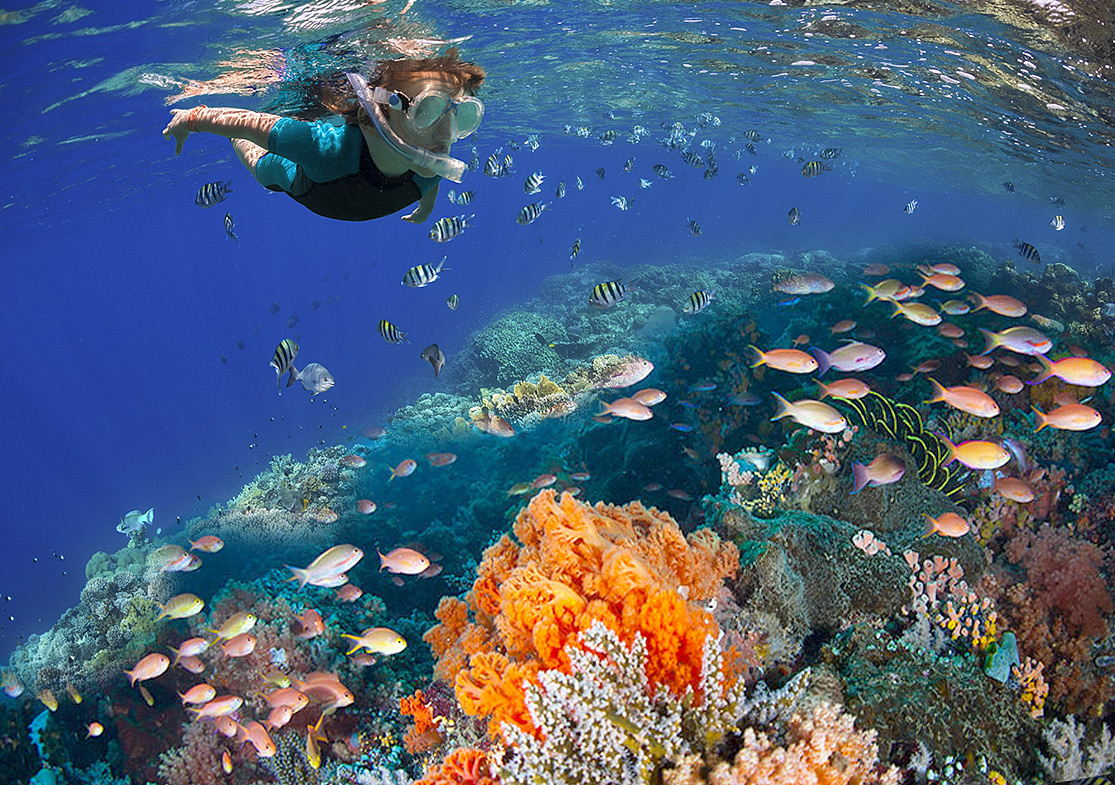 arrecifes de Cozumel