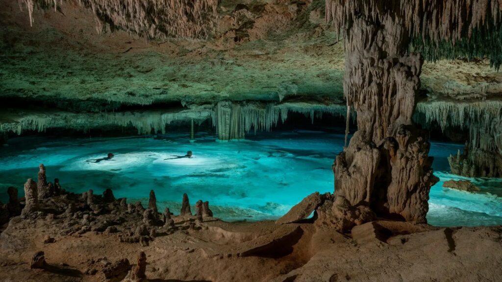 biodiversidad de los cenotes urbanos de Cancún