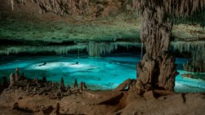 biodiversidad de los cenotes urbanos de Cancún