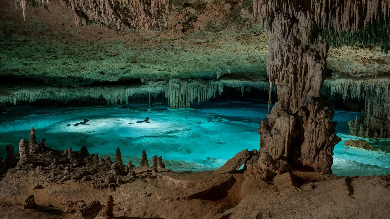 biodiversidad de los cenotes urbanos de Cancún