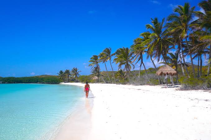 cómo visitar Isla Contoy