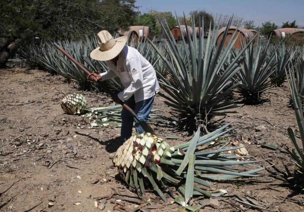 estabilidad financiera de México