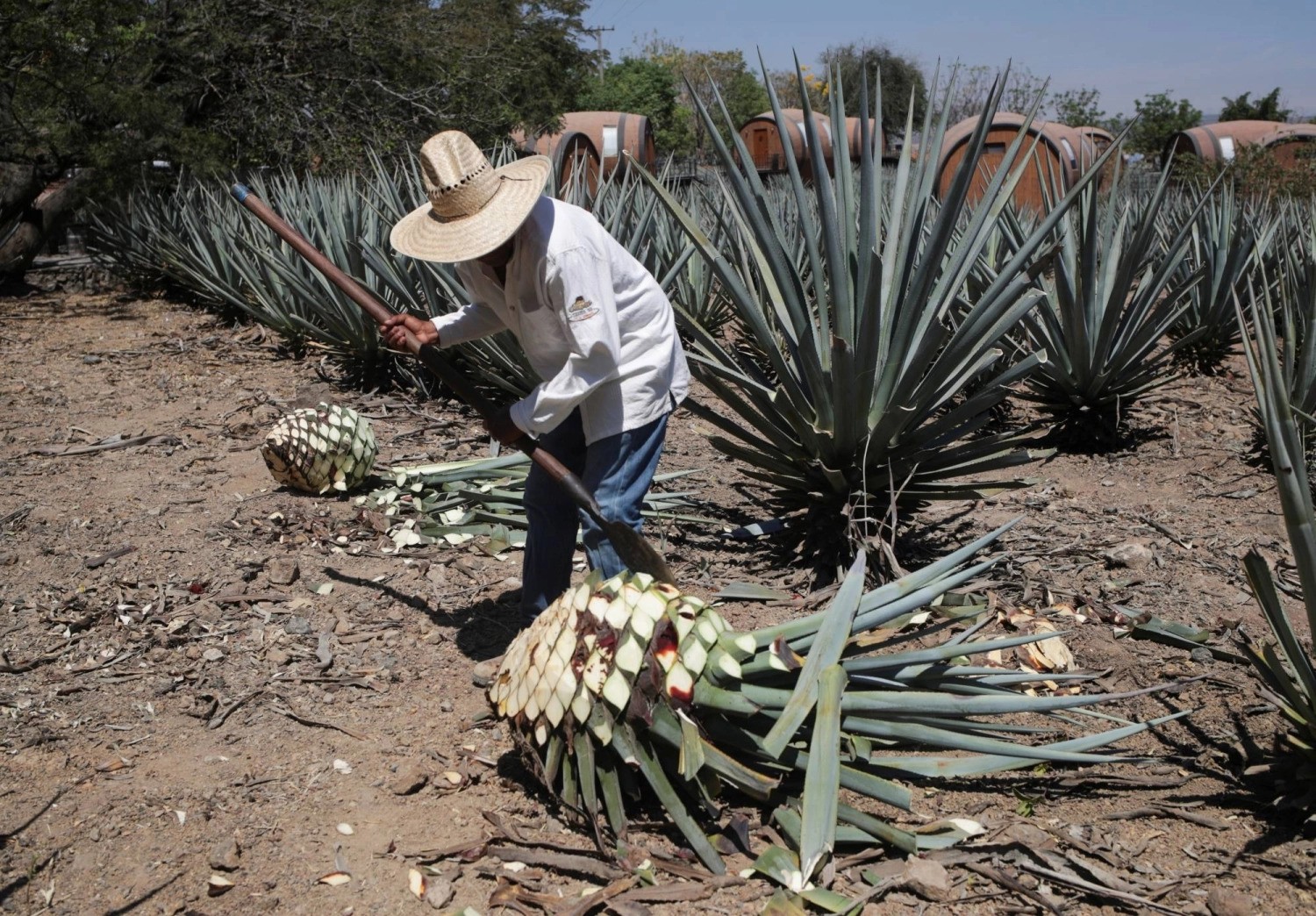 estabilidad financiera de México