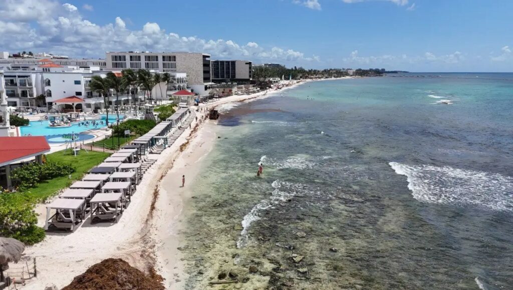 sargazo en Playa del Carmen
