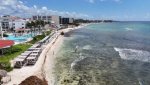 sargazo en Playa del Carmen